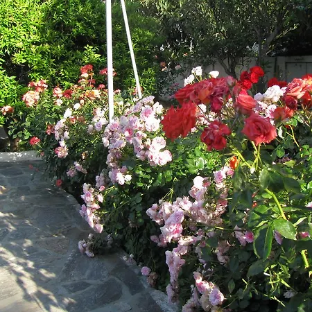 Anna شقة فندقية