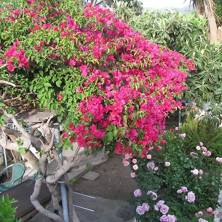 Anna شقة فندقية 4*