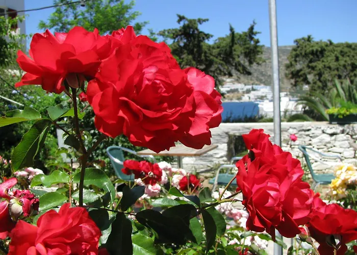 Anna Ξενοδοχείο με διαμερίσματα