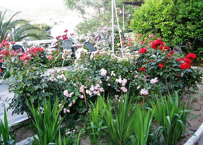 Ξενοδοχείο με διαμερίσματα Anna Κατάπολα