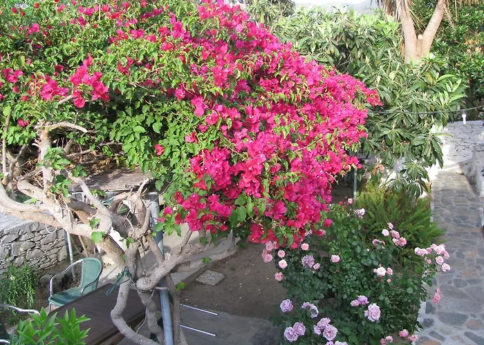 Anna Ξενοδοχείο με διαμερίσματα 4*