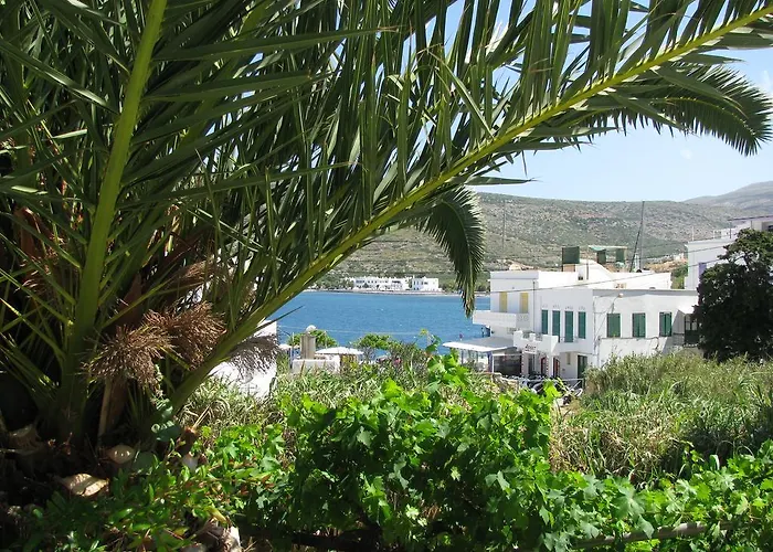 Anna Κατάπολα